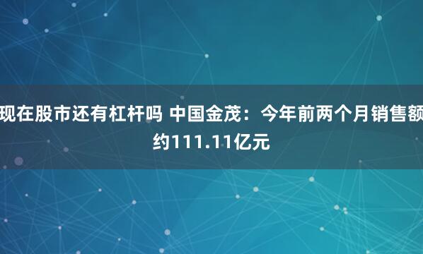现在股市还有杠杆吗 中国金茂：今年前两个月销售额约111.11亿元