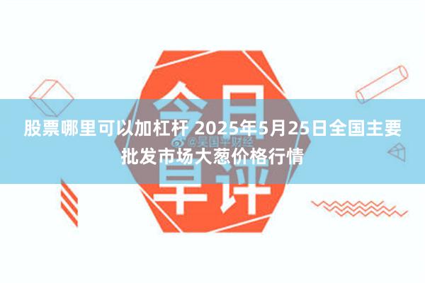 股票哪里可以加杠杆 2025年5月25日全国主要批发市场大葱价格行情