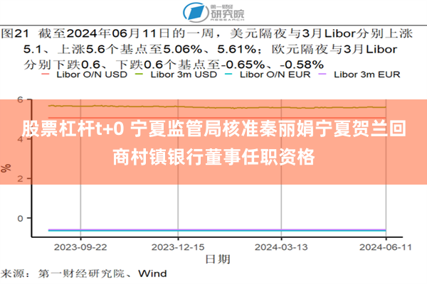 股票杠杆t+0 宁夏监管局核准秦丽娟宁夏贺兰回商村镇银行董事任职资格
