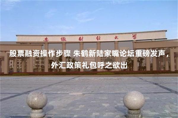 股票融资操作步骤 朱鹤新陆家嘴论坛重磅发声，外汇政策礼包呼之欲出