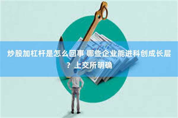 炒股加杠杆是怎么回事 哪些企业能进科创成长层？上交所明确