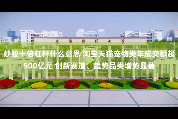 炒股十倍杠杆什么意思 淘宝天猫宠物类年成交额超500亿元 创新赛道、趋势品类增势显著